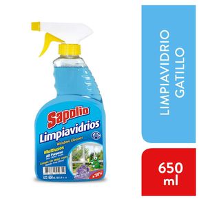 Limpiavidrios