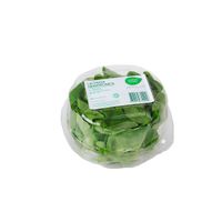 Lechuga Hidropónica Verde Puro x un.