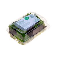 Mix de Lechugas Baby Verde Puro 150g