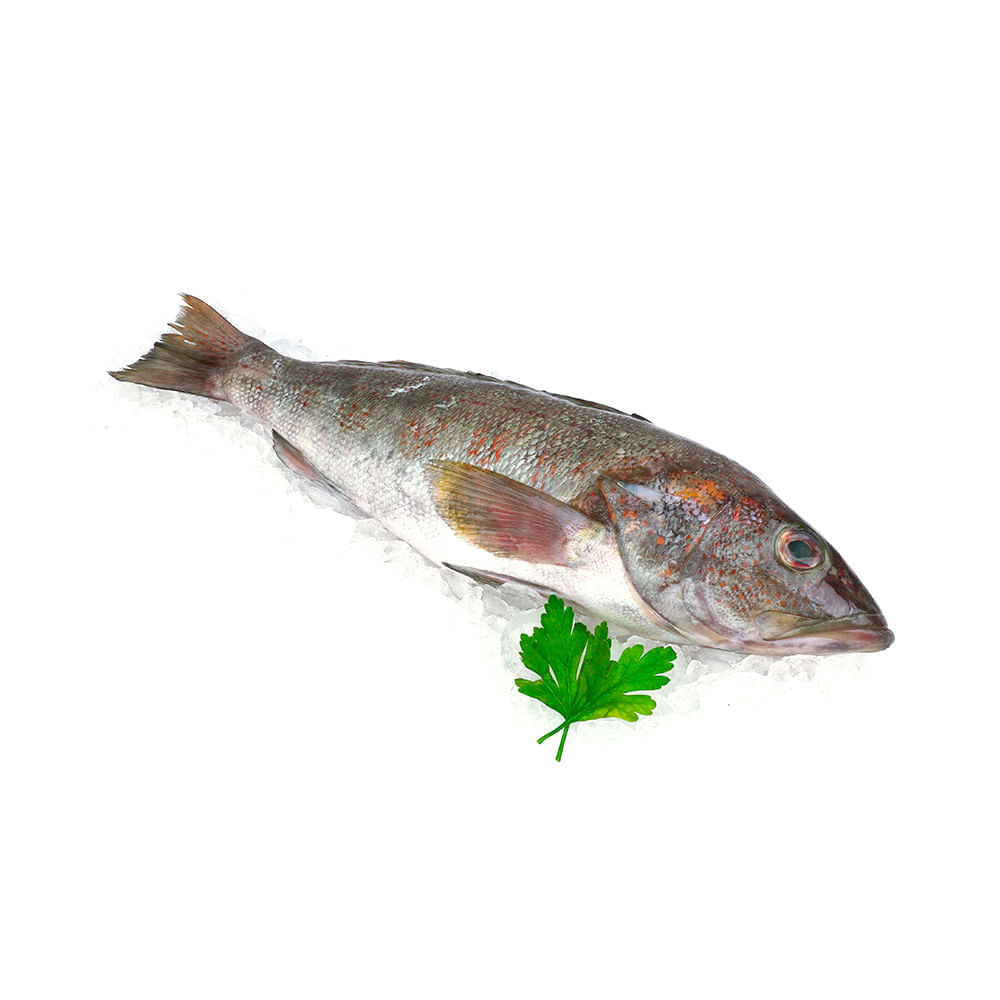 Cabrilla Entera