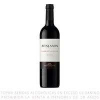 Vino Tinto Cabernet Sauvignon Benjamín Nieto Senetiner Botella 750ml