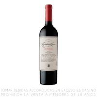 Vino Tinto Cabernet Sauvignon Escorihuela Gascón Botella 750ml