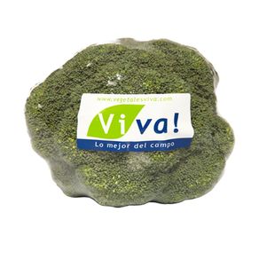 Ensalada