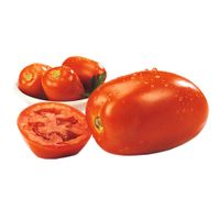 Tomate Italiano Metro x kg