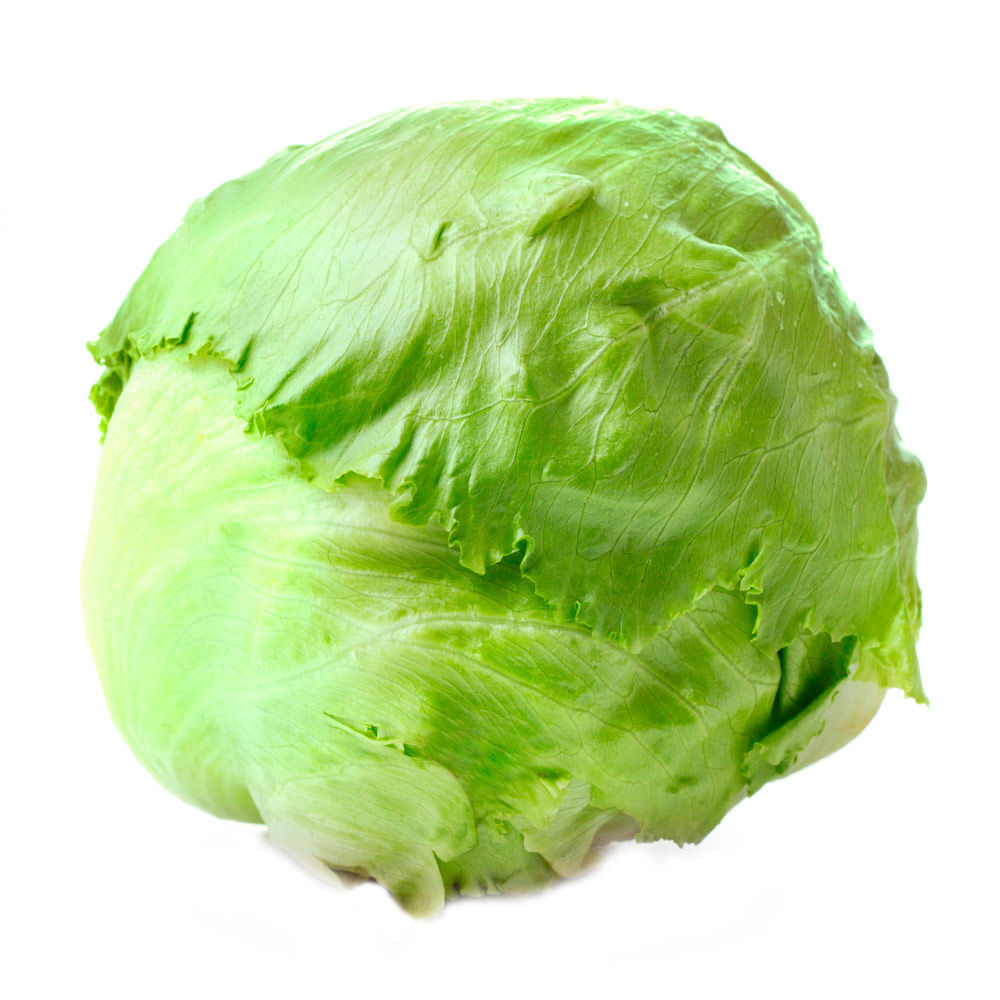 Lechuga Americana Metro x unid