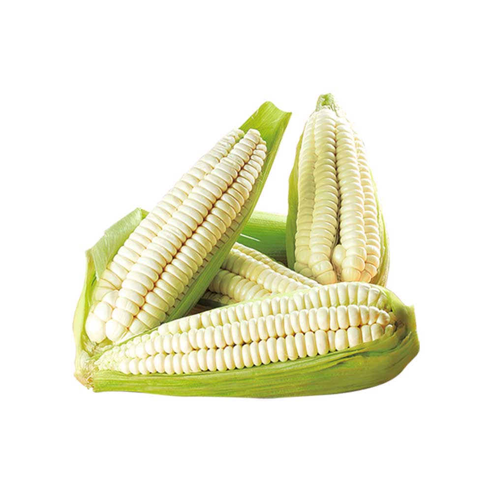 Choclo Especial x unid