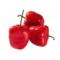 Rocoto Metro x kg