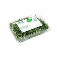 Arúgula Silvestre Verde Puro 120g