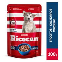 Ricocan Pouche Trozos Cordero Salsa Cachorro x 100Gr