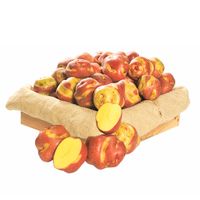 Papa Amarilla Peruanita Procesada Metro x kg