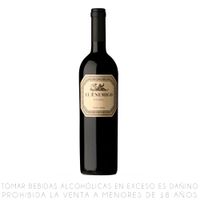 Vino Tinto Bonarda El Enemigo Botella 750ml