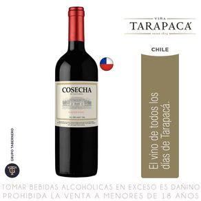 Tinto