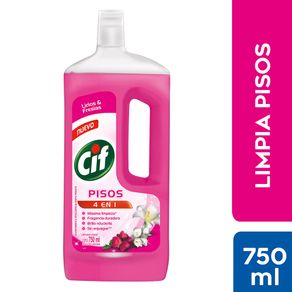 Pisos