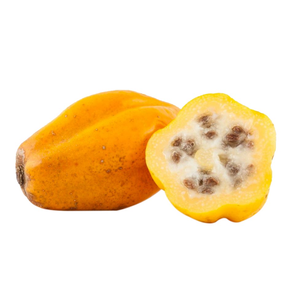 Papaya Arequipeña x kg