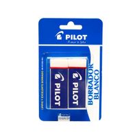 Borrador Pilot EE102 2 un