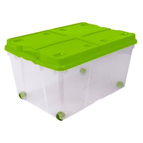 Organizadoras