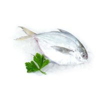 Chiri Entero