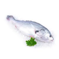 Corvina de Río Entera