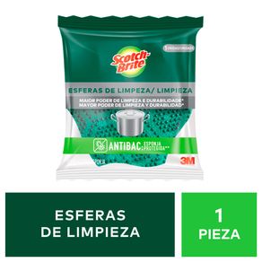 Esponjas