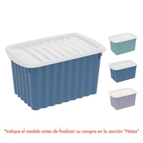Organizadoras