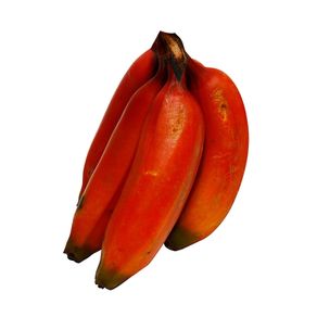 Platanos