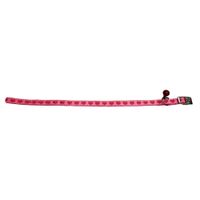 Collar para Gatos Pet's Fun Care Corazones