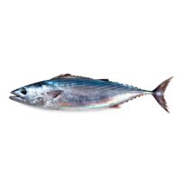 Bonito Entero x kg