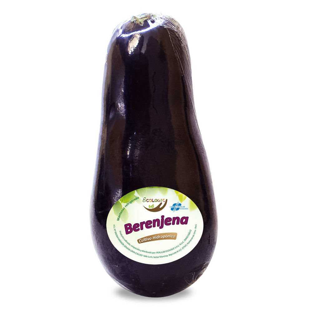 Berengena Hidropónica Ecológica x Unidad