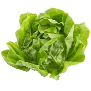 Lechugas