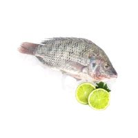 Tilapia Entera Eviscerada Sin Escamas x kg