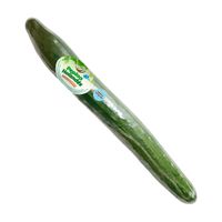 Pepino Holandés Hidropónico de Invernadero Ecologic x unid