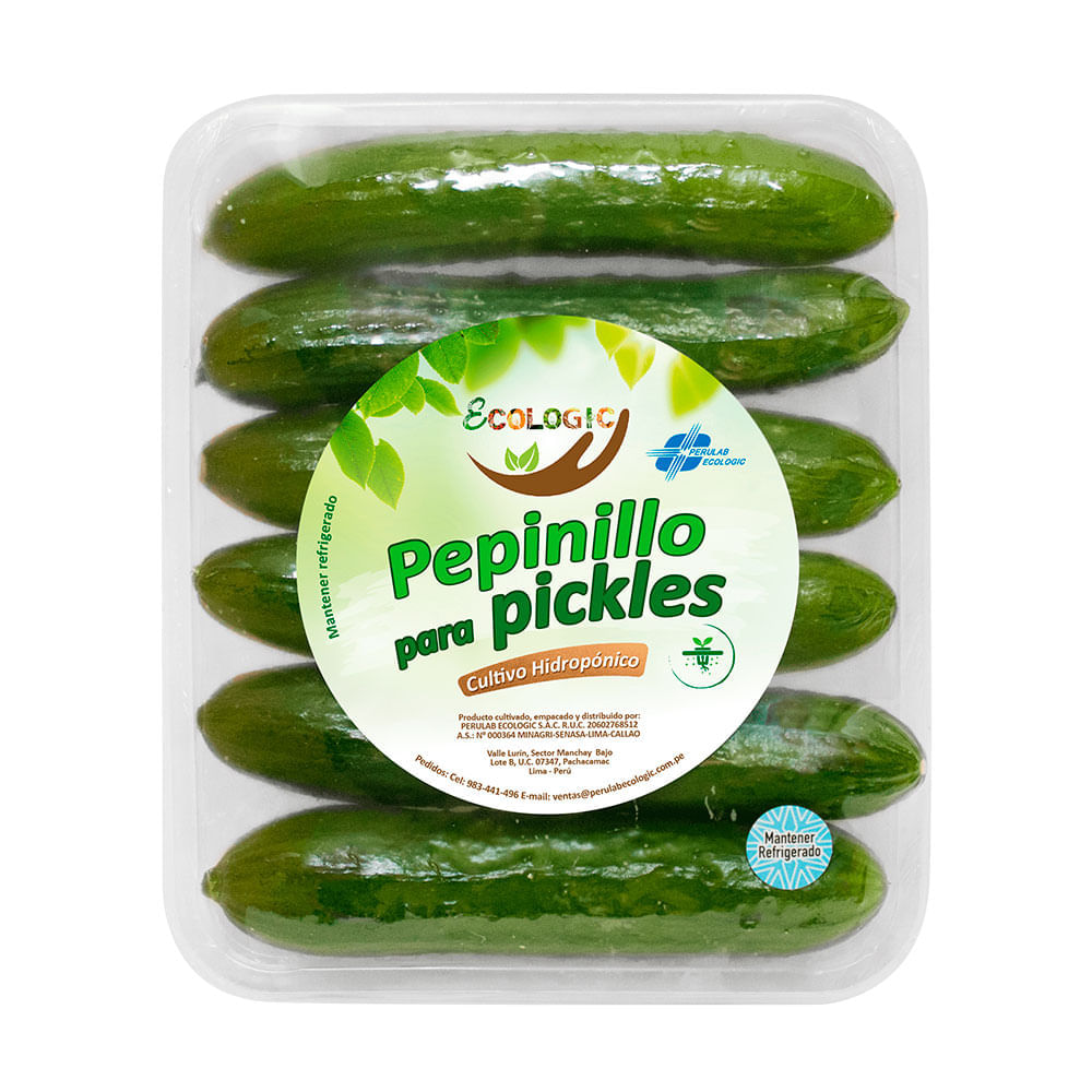 Pepinillo Pickles Hidropónico de Invernadero Ecologic Bandeja 300g