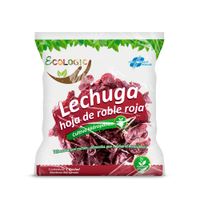 Lechuga Hoja de Roble Roja Hidropónica de Invernadero Ecologic x unid