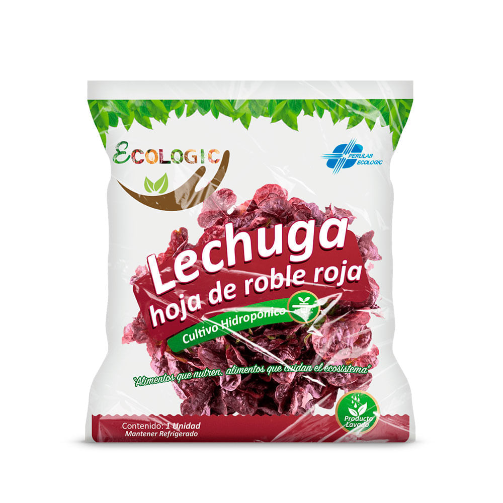 Lechuga Hoja de Roble Roja Hidropónica de Invernadero Ecologic x unid