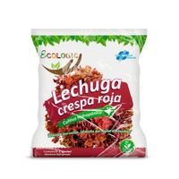 Lechuga Roja Hidropónica de Invernadero Ecologic x unid