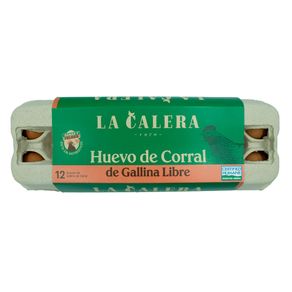Huevos