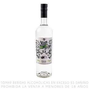 Pisco