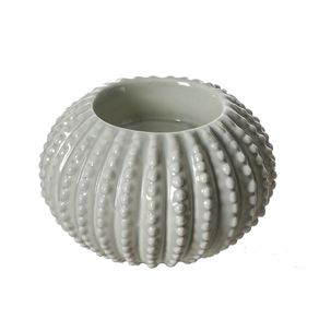 Complementos