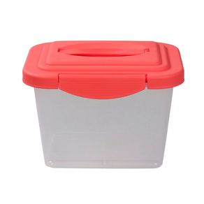 Organizadoras