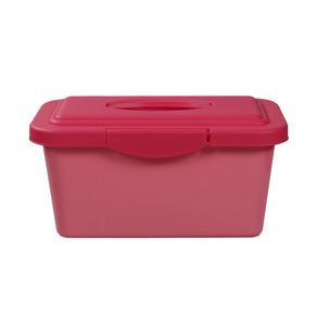 Organizadoras