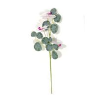Flor de Tallo Krea Mediano 50