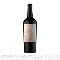 Vino Tinto Malbec Ruca Malen Capítulo Uno Botella 750ml