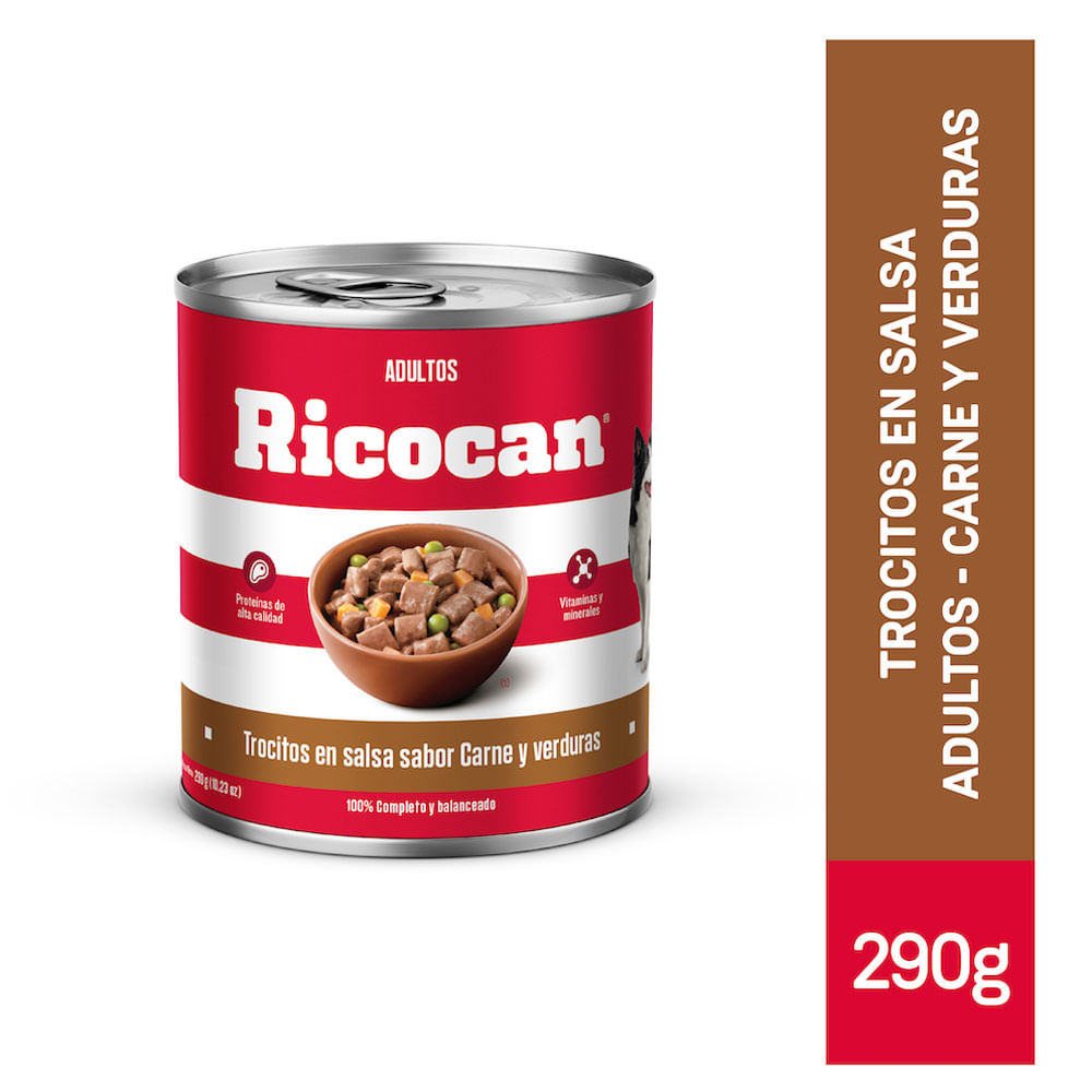 Trocitos en Salsa Carne Verduras Ricocan
