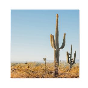 Complementos