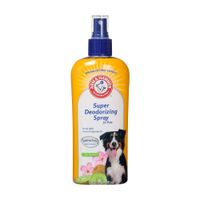 Spray Arm & Hammer Desodorizante Flor de Kiwi