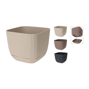 Complementos