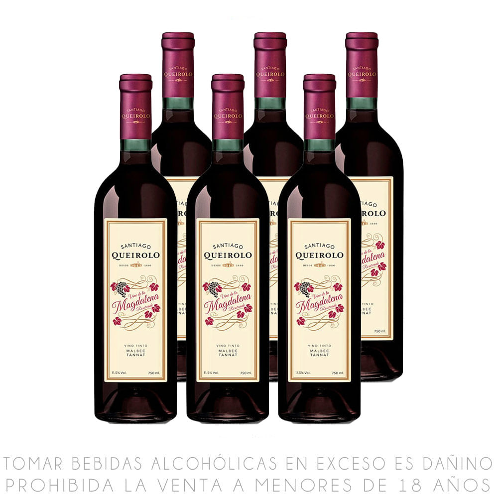 Sixpack Vino Tinto Malbec Tannat Blend Queirolo Magdalena Botella 750ml