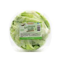 Lechuga de Seda Ecologic