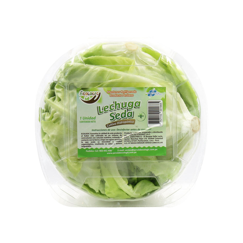 Lechuga de Seda Ecologic