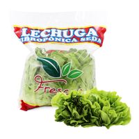 Lechuga de Seda Hidropónica Frescas x un
